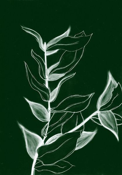 Wold, Kayleigh 작가의 Charcoal Foliage I 작품