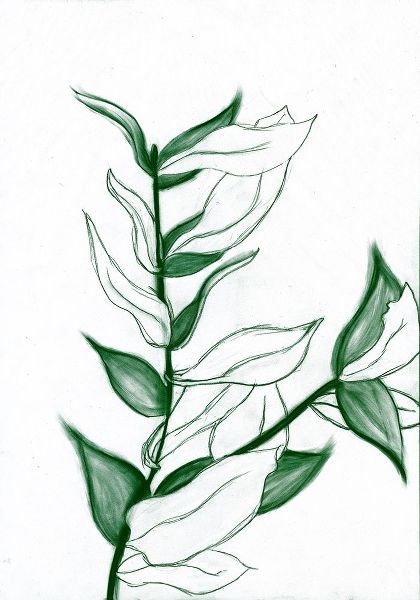 Wold, Kayleigh 아티스트의 Charcoal Foliage I V2작품입니다.