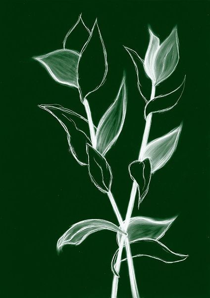 Wold, Kayleigh 작가의 Charcoal Foliage II 작품