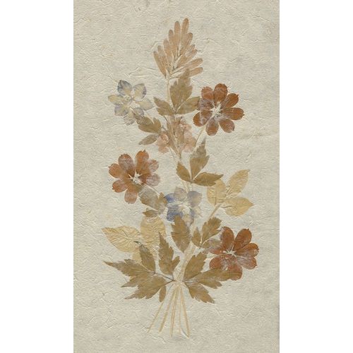 Delicate Dried Flowers arrangement on rice paper