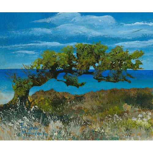 Bent Juniper Tree and Blue Sea