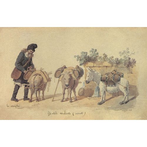 Farmer with mules in the Countryside