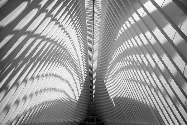 Oculus Ceiling, World Trade Center, NYC