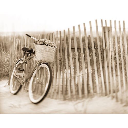 Bike by Beach Fence