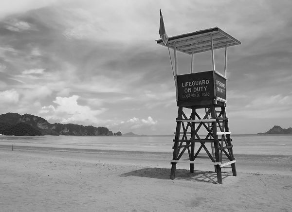 Lifeguard Observation Tower