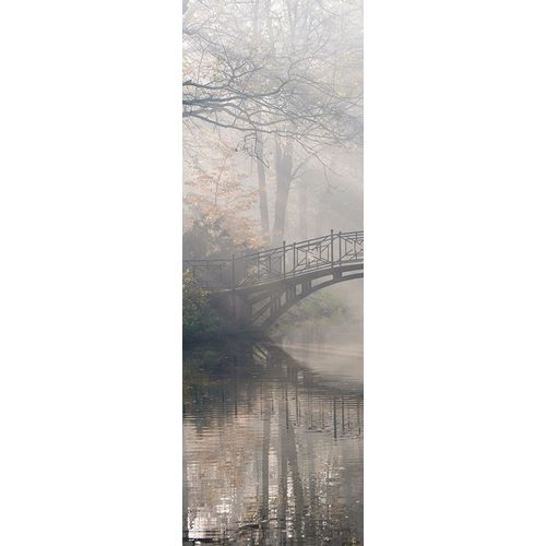 Bridge in the Mist I