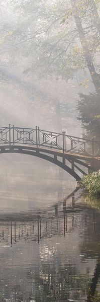 Bridge in the Mist II