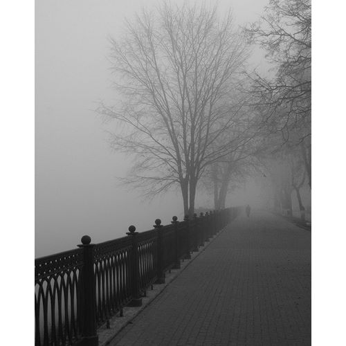 Promenade in the Mist