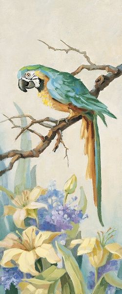 Parrot Panel II