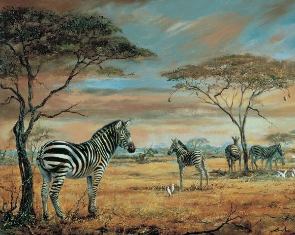 Savanne Zebras