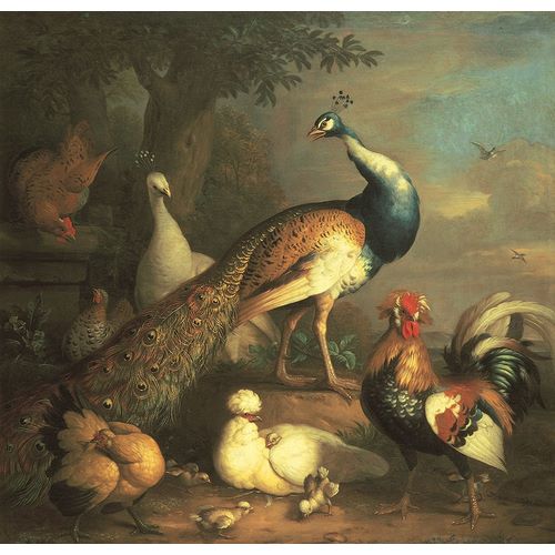 Unknown 아티스트의 Peacock And Friends작품입니다.