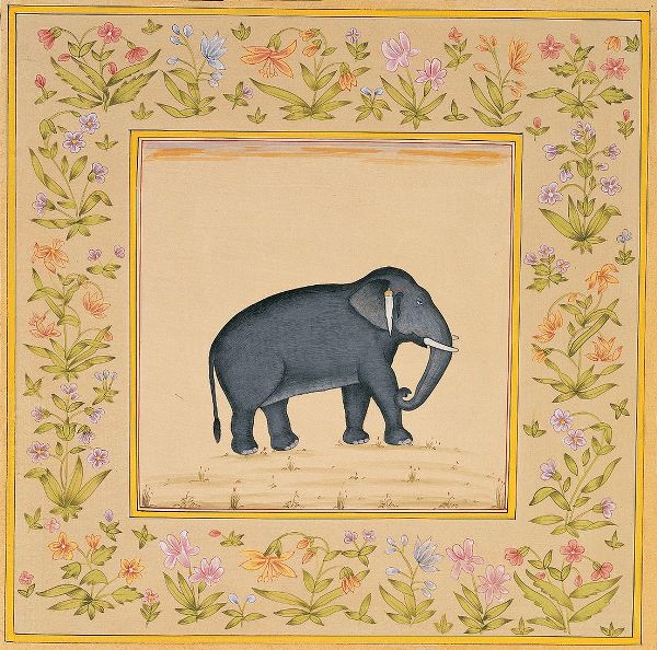 Unknown 아티스트의 Elephant작품입니다.