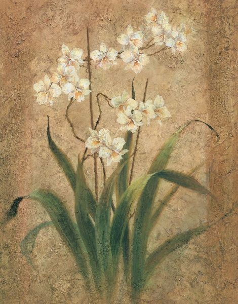 Unknown 아티스트의 White Lilies I작품입니다.