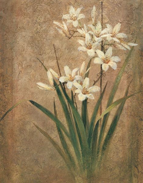 Unknown 아티스트의 White Lilies II작품입니다.