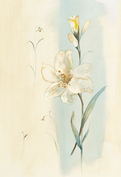 Unknown 아티스트의 White Orchid작품입니다.