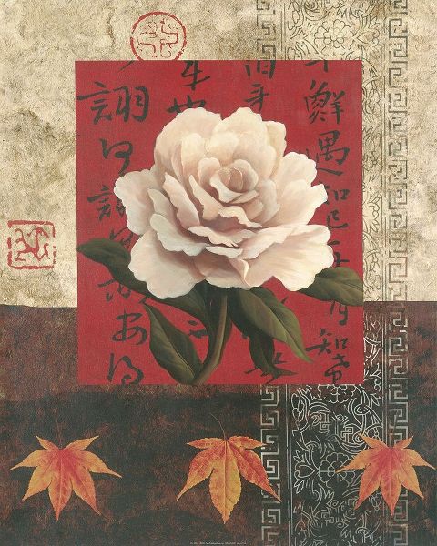 White Chinese Rose