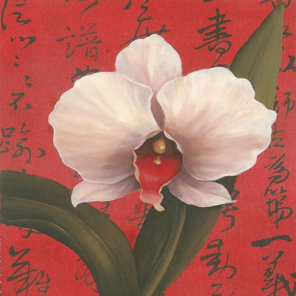 Chinese Orchid on Red