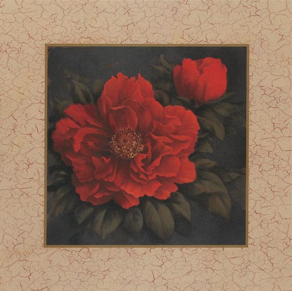 Red Carnation with Border I