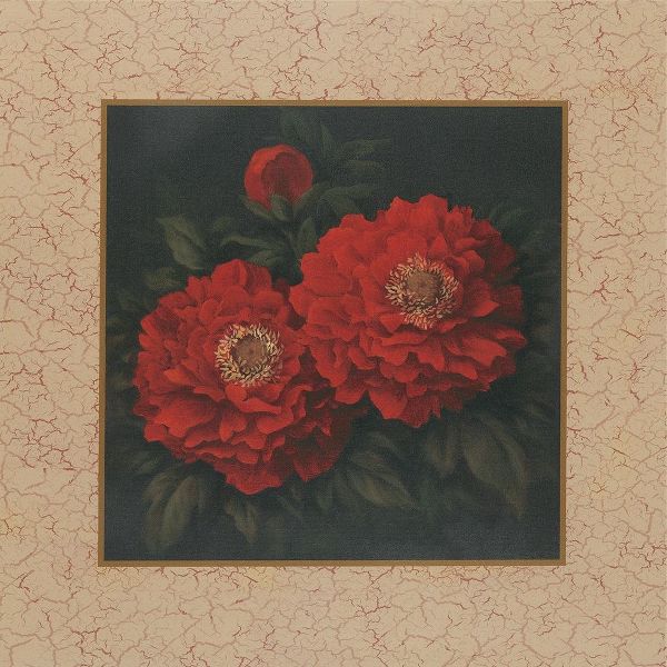 Red Carnation with Border II