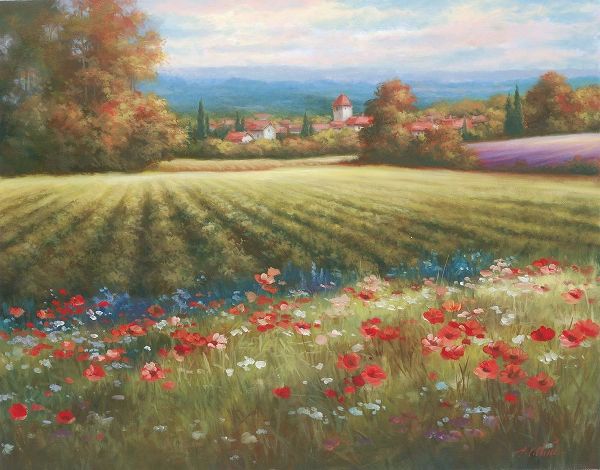 Fields of Provence I