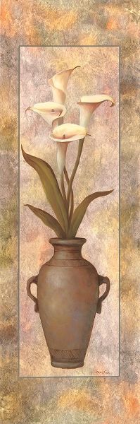 Potted Calla Lily