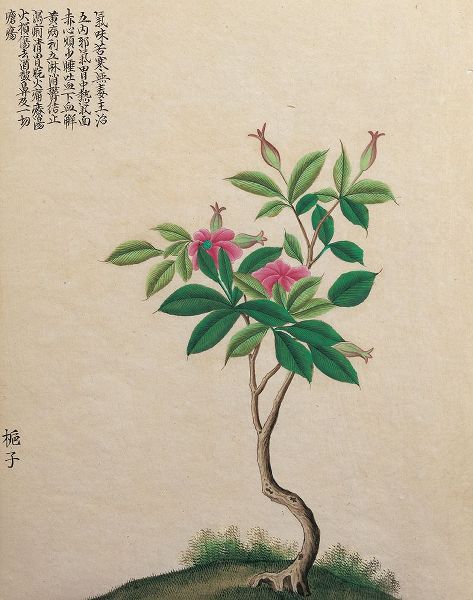 Unknown 작가의 Oriental Bamboo 작품