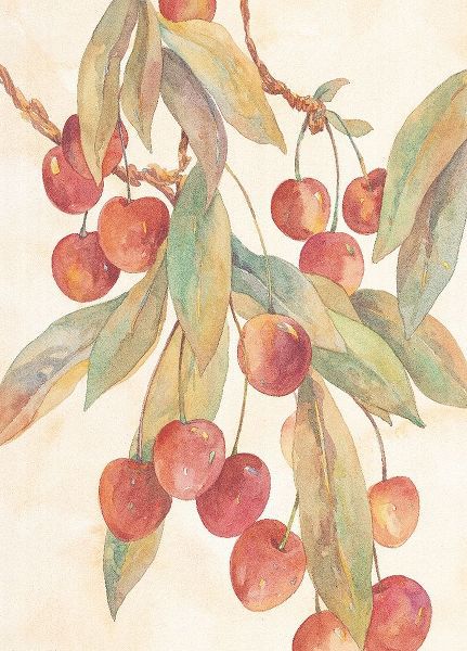 Hanging Cherries