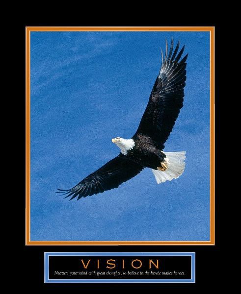 Vision Eagle in Flight