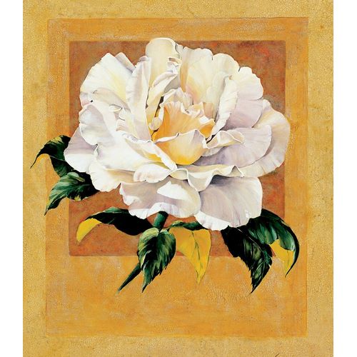 White Rose I