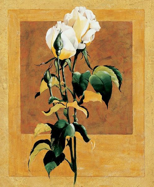 White Rose III