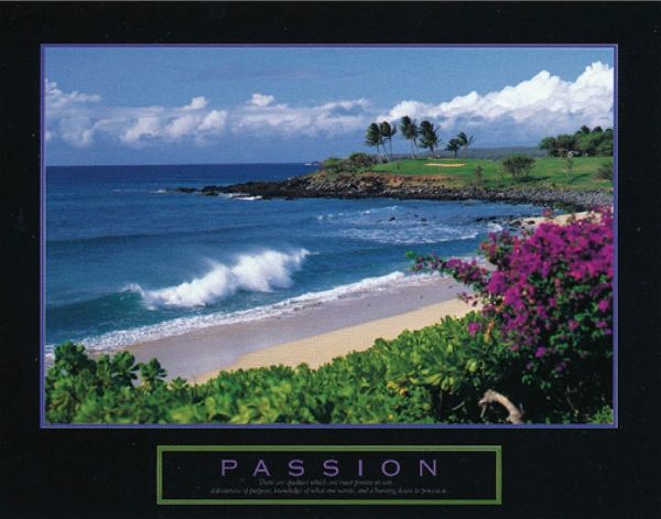 Passion - Beach