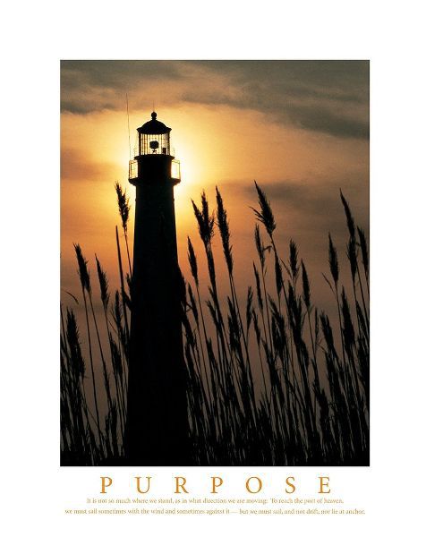 Purpose - Lighthouse in Reeds