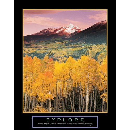 Explore - Mountain and Aspen Trees