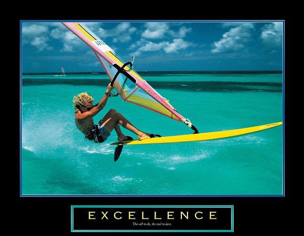 Excellence - Wind Surfer