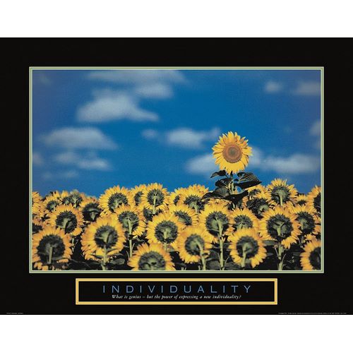 Individuality - Sunflowers