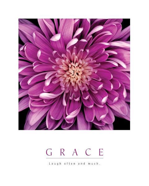 Grace - Purple Mum