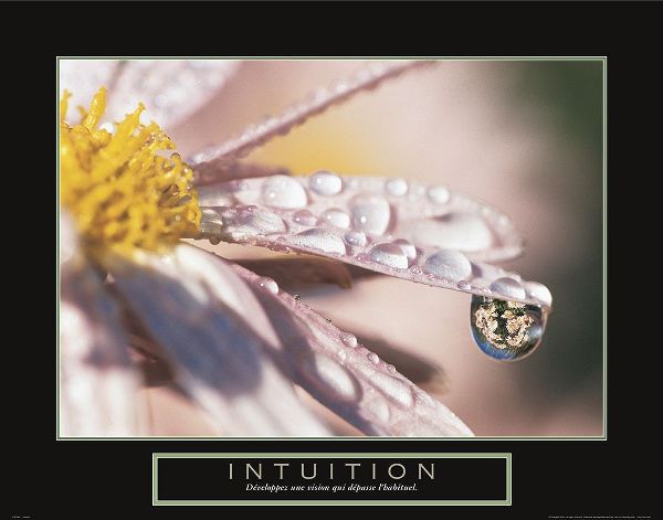 Intuition - Dewdrop