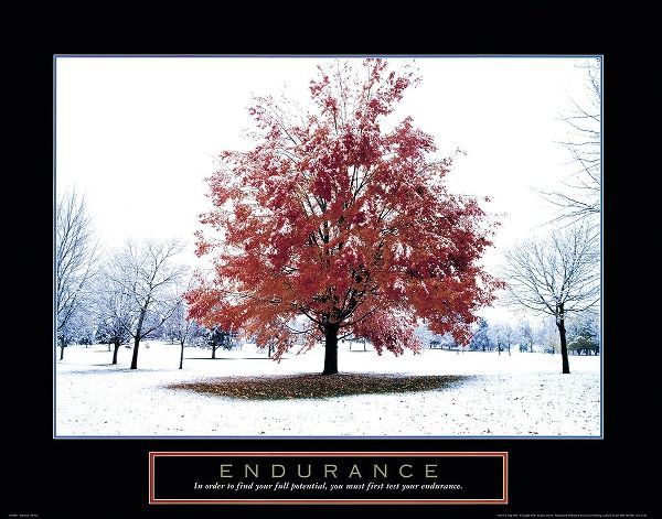 Endurance - Snowy Tree