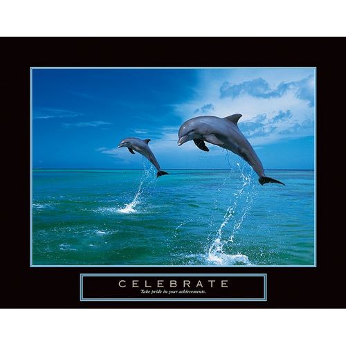 Celebrate - Dolphins