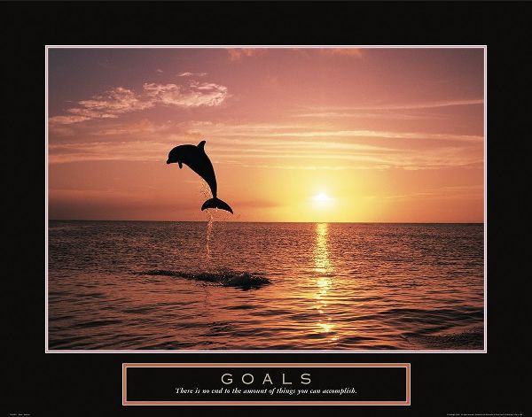 Goals - Dolphin
