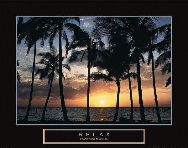 Relax - Palm Trees