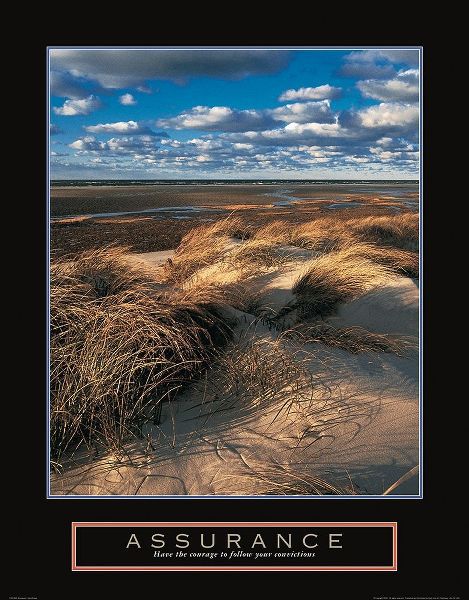 Assurance - Beach Grass
