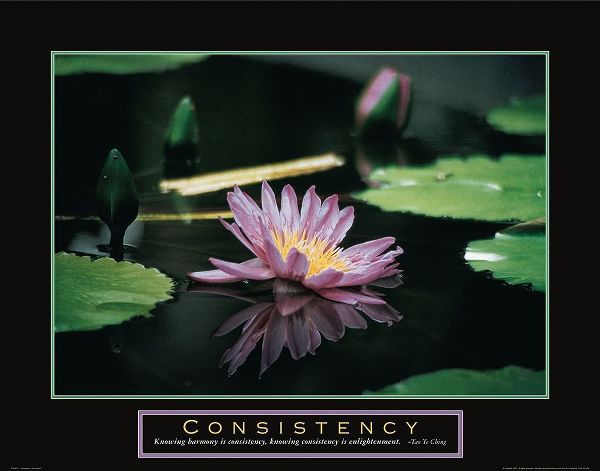 Consistency - Pond Flower