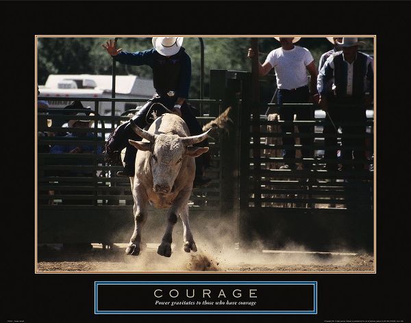 Courage - Bull Rider