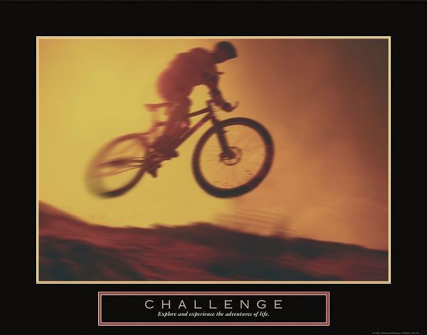 Challenge - Dirt Biker