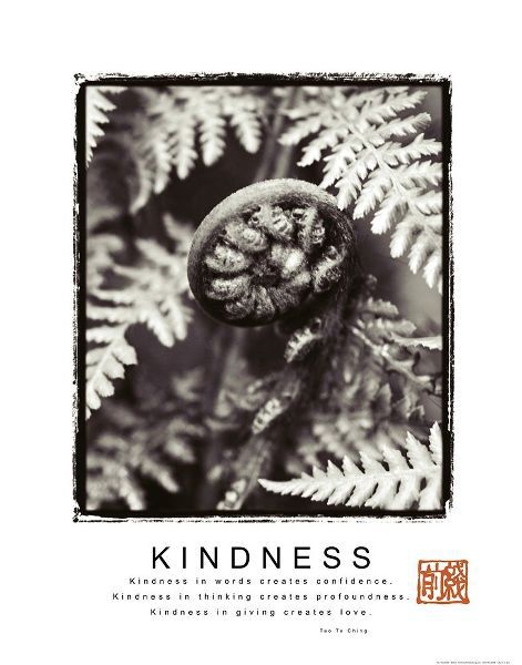 Kindness - Fiddlehead