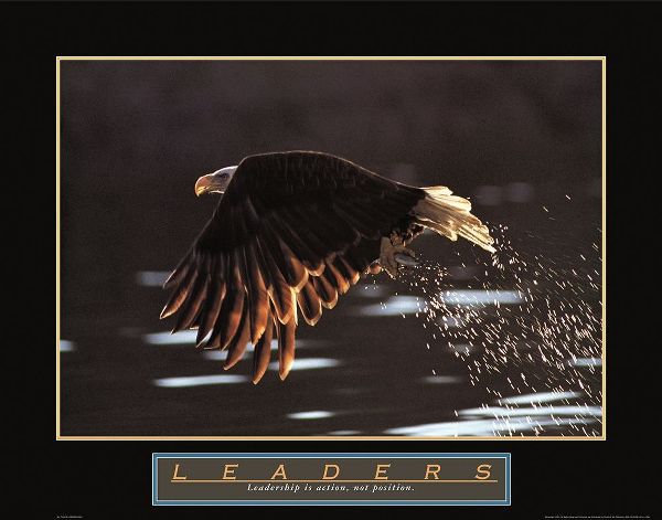 Leaders - Eagle