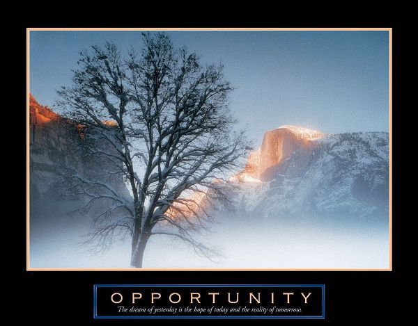 Tree - Opportunity