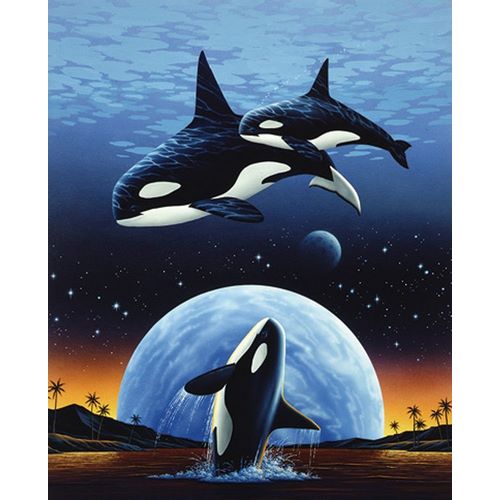 Orcas and Moon