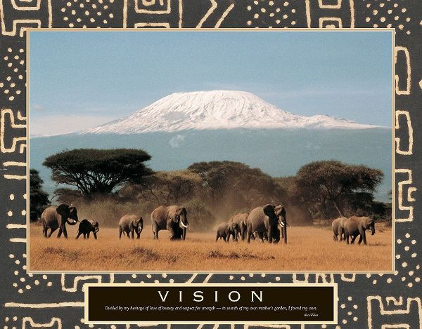 Vision - Elephant Herd